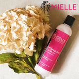 Mielle Detangling Co-Wash