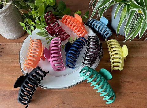 Assorted Claw Clips (1 pc)